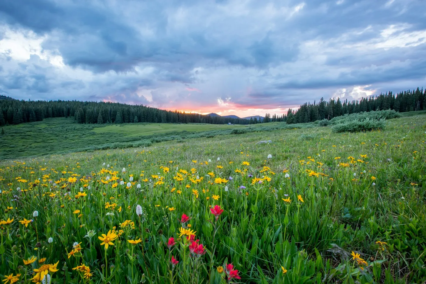 Spiritual Wellness Workshops